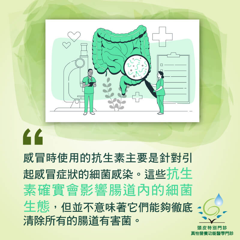 抗生素治感冒也可以殺光腸道壞菌？健管師解答您的疑惑
