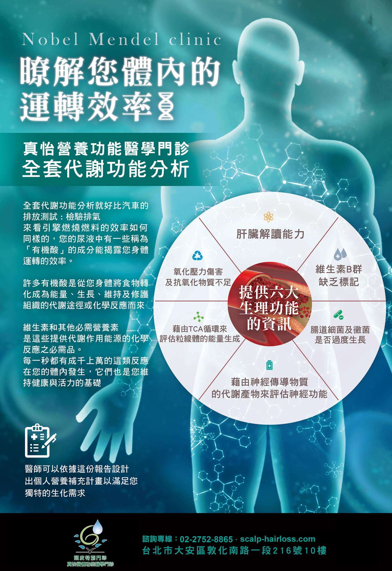 全套代謝功能分析