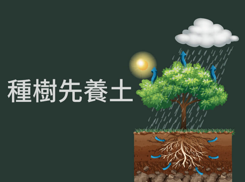 種樹先養土