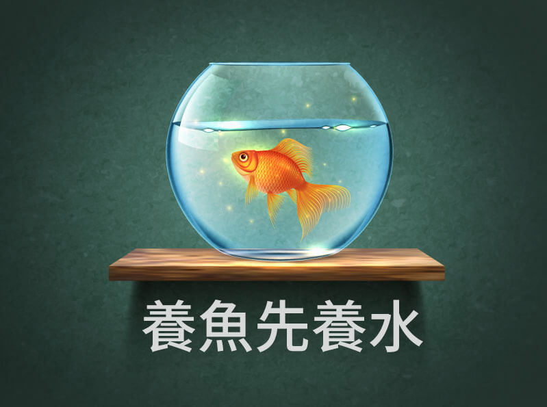 養魚先養水