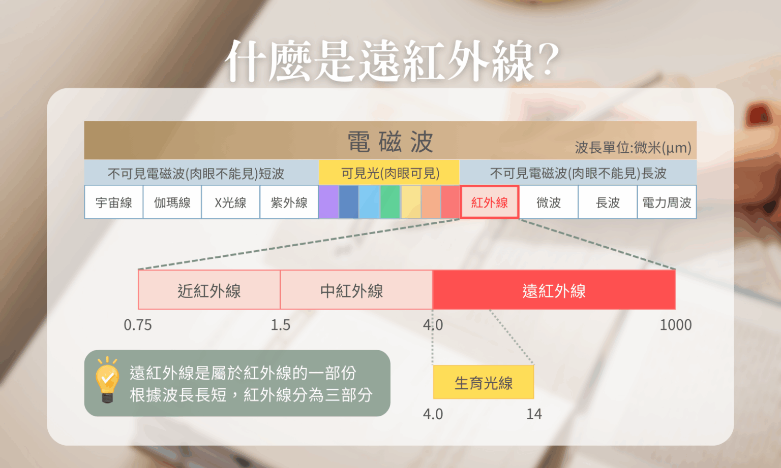 什麼是遠紅線?