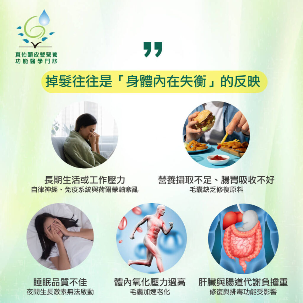 掉髮往往是身體內在失衡的反映。