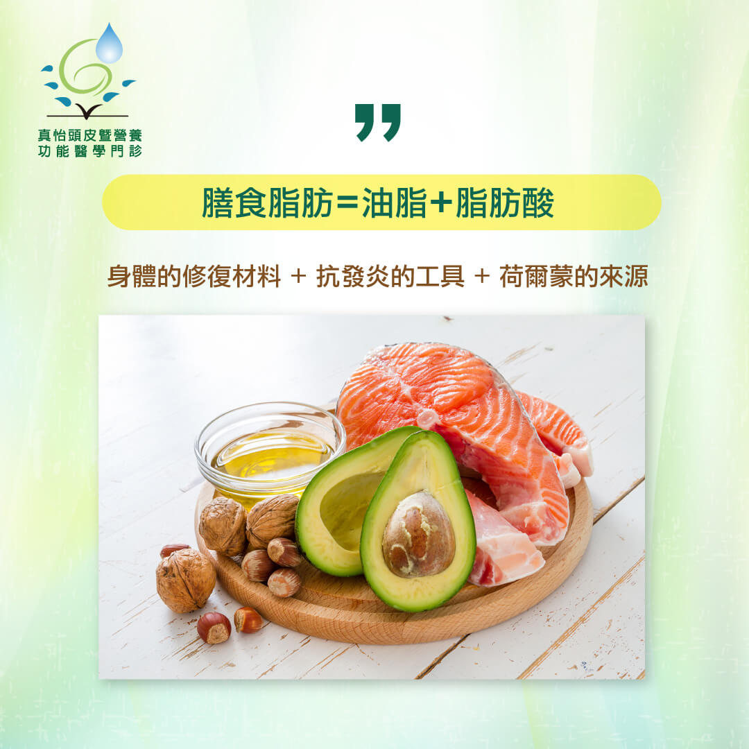  脂肪不是發胖的元兇，它反而是： 身體的修復材料 + 抗發炎的工具 + 荷爾蒙的來源！