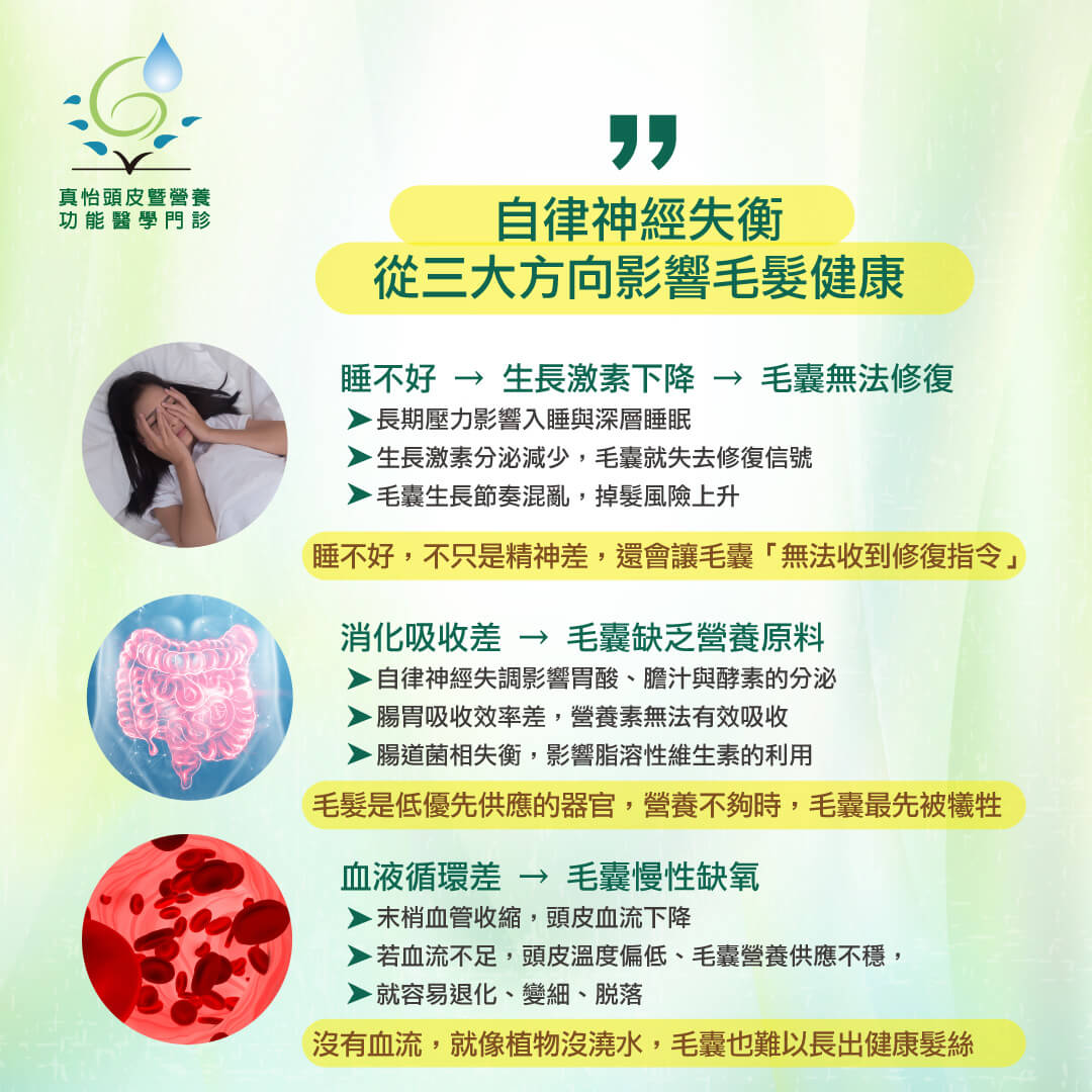 自律神經失衡，從三大方向影響毛髮健康