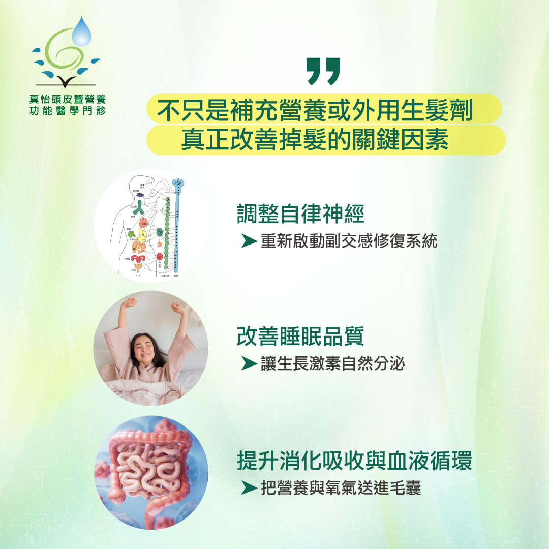不只是補充營養或外用生髮劑，真正改善掉髮的關鍵因素