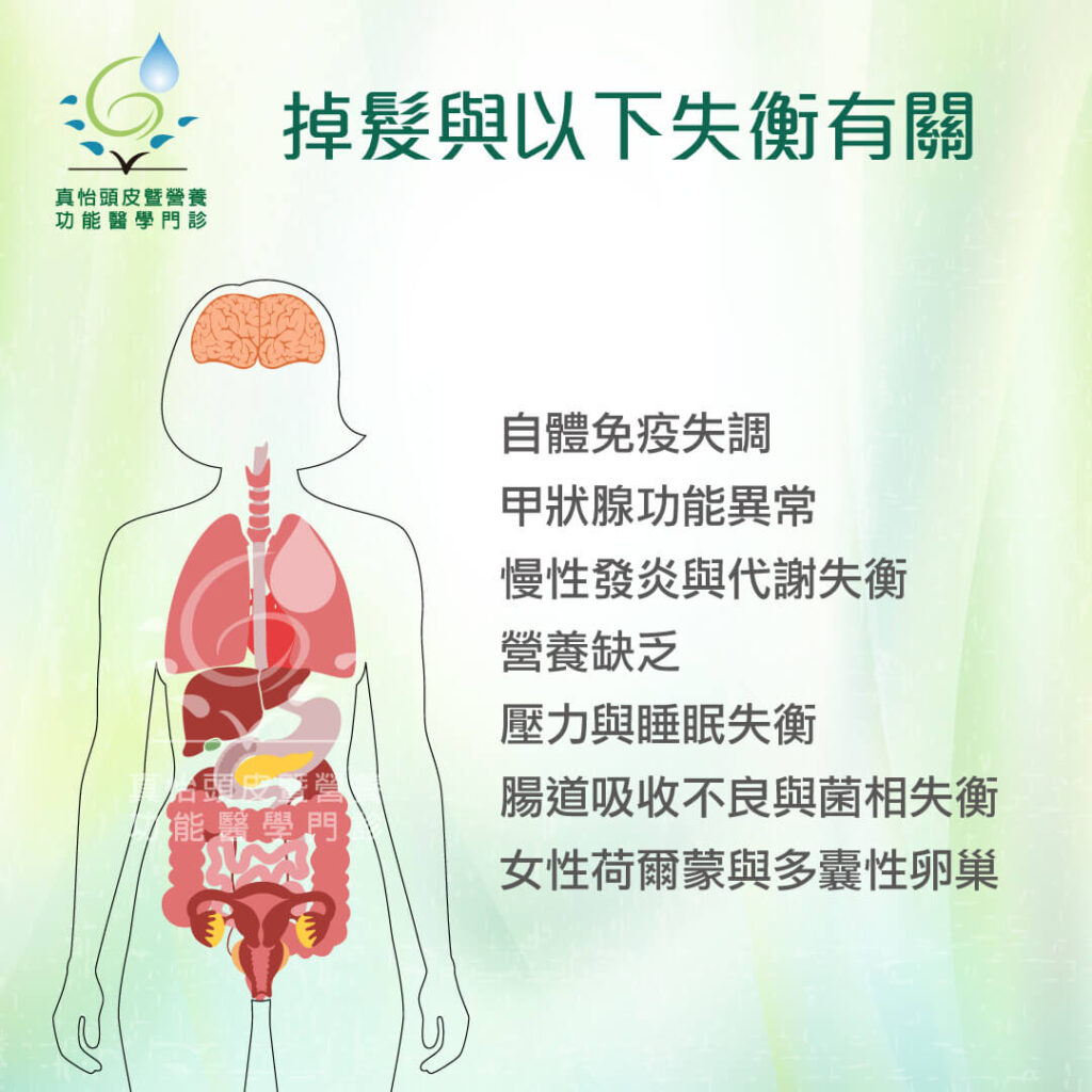 掉髮與以下失衡有關
