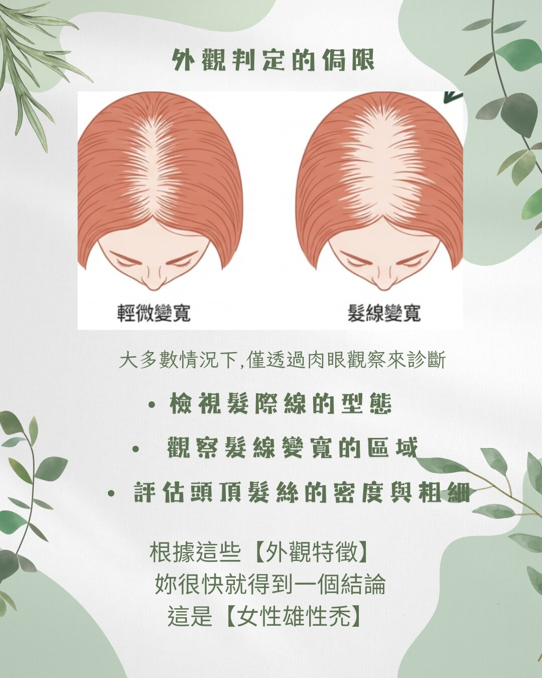 女性雄性禿 外觀判定的侷限