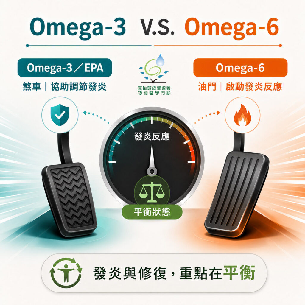 Omega-3 與 Omega-6 有什麼不同？