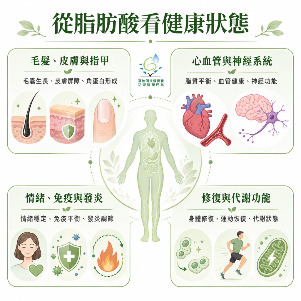 從脂肪酸看健康狀態