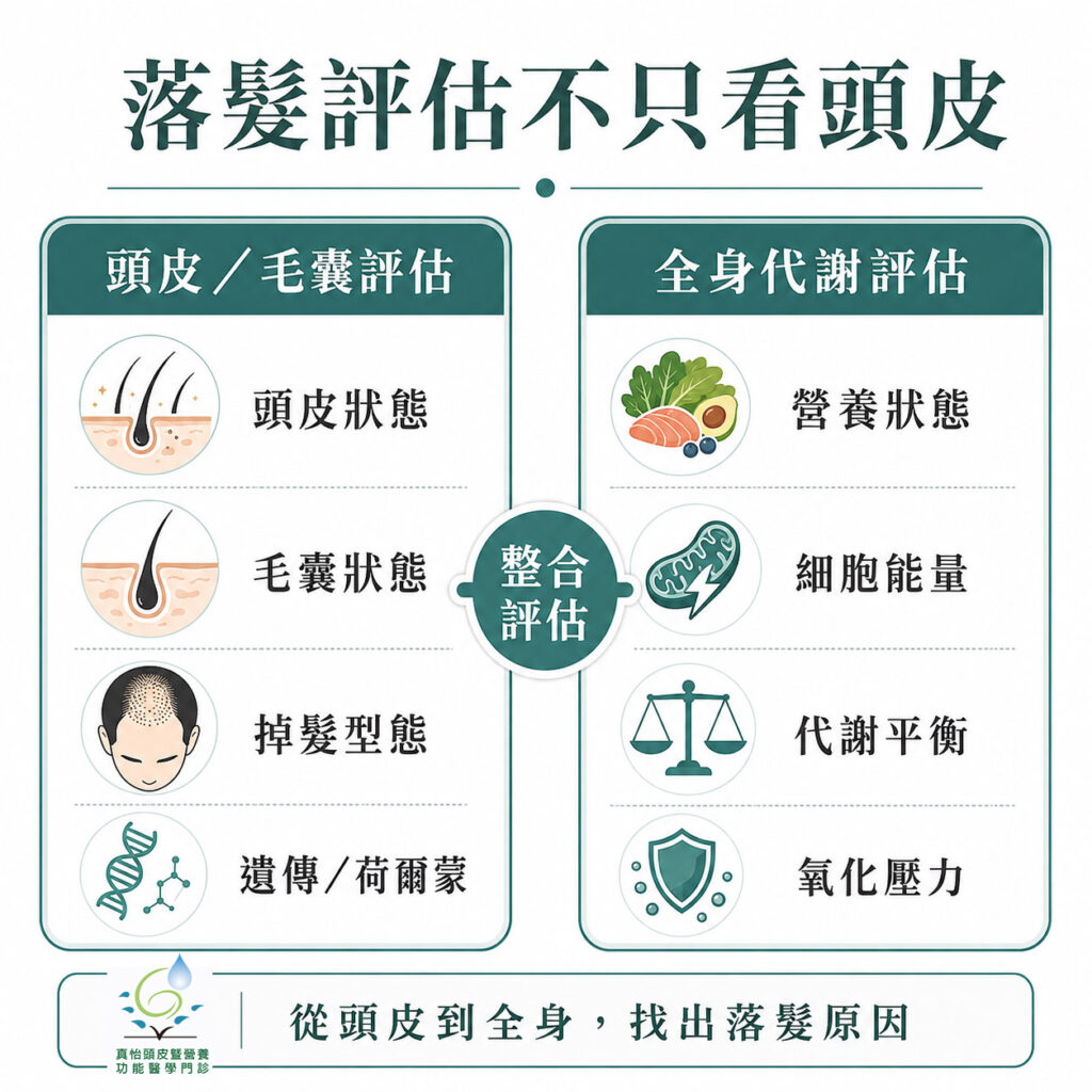 落髮評估不只看頭皮