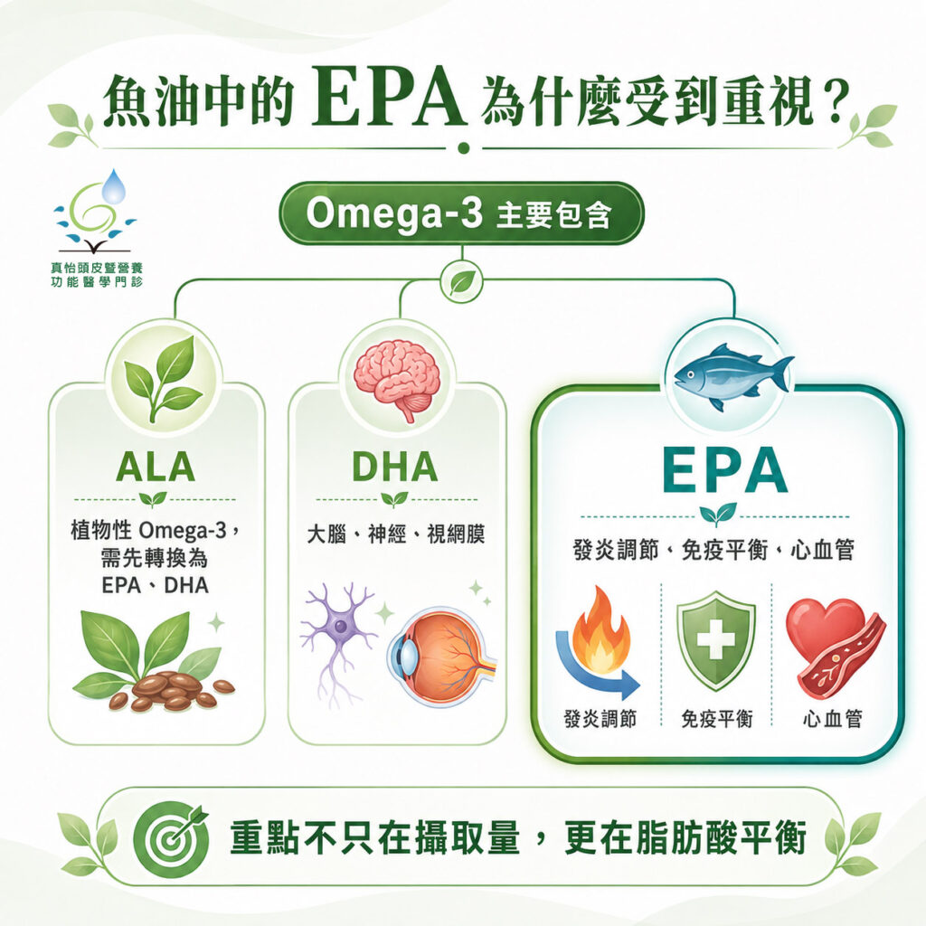 魚油中的EPA-為什麼受到重視