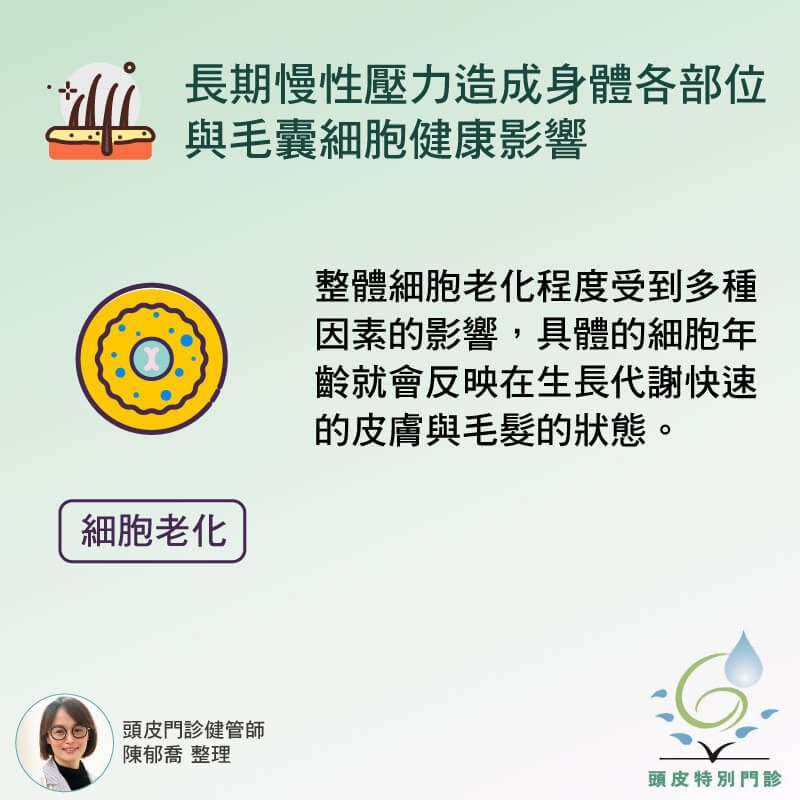 細胞老化程度與毛髮生長關係