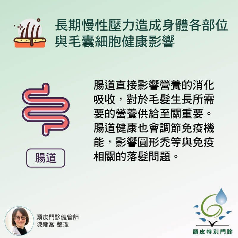 腸道狀況影響落髮