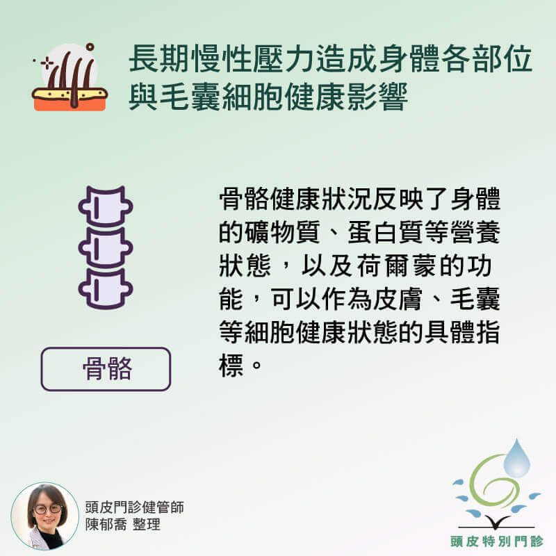 骨骼健康狀況與毛髮關係